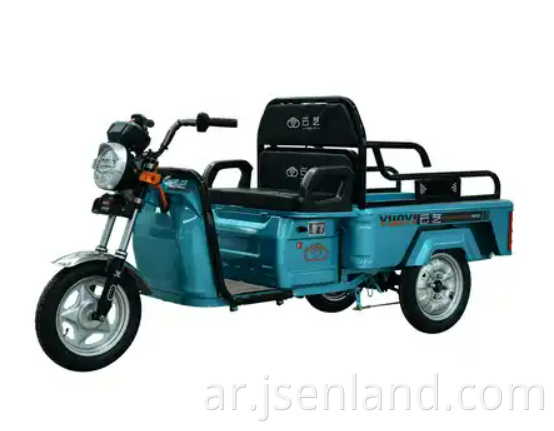 Quality Electric Tricycle